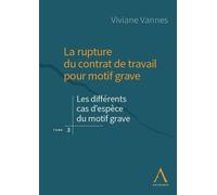 La rupture du contrat de travail pour motif grave - Volume 3 Les différents cas d'espèce du motif grave - Viviane Vannes - Anthemis - broché - Etude