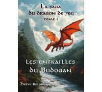 La Saga du dragon de feu - Tome 1 Les Entrailles du Budogan - Hervé Bolançais - Librinova - broché - Roman