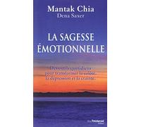 La Sagesse Émotionnelle - Des Outils Quotidiens Pour Transformer La Colère, La Dépression Et La Crainte