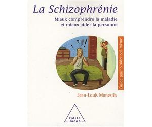 La schizophrénie : Mieux comprendre la maladie et mieux aider la personne de Monestès. Jean-Louis (2008) Broché