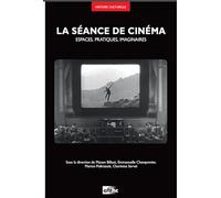 La séance de cinéma: Espaces, pratiques, imaginaires