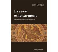 La sève et le sarment: Médiations sur l'évangile de Jean