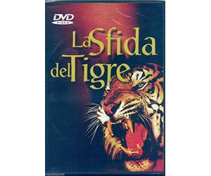 La Sfida Della Tigre