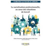 La socialisation professionnelle au coeur des situations de travail
