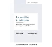 La société à mission. perspectives critiques sur l'entreprise sous l'angle de: PERSPECTIVES CRITIQUES SUR L ENTREPRISE SOUS L ANGLE DE LA LOI PACTE