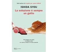 La soluzione è sempre un gatto
