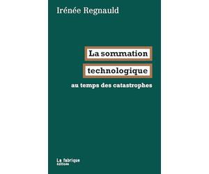 La sommation technologique: au temps des catastrophes