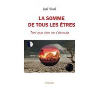 La somme de tous les êtres Tant que rien ne s'écroule - Vinel Joël - Edilivre-Aparis - broché - Roman