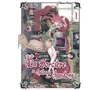 La sorcière du château aux chardons - Tome 1 (1)