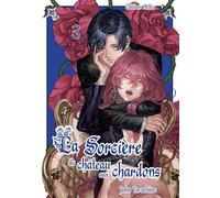 La sorcière du château aux chardons - Tome 3