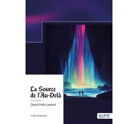 La Source de l'Au-Delà - David Petit-Laurent - Nombre 7 - broché - Récit