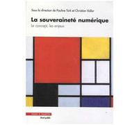 La Souveraineté Numérique : Le Concept, Les Enjeux