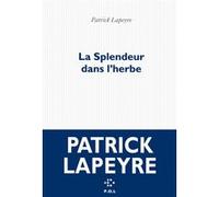 La Splendeur dans l'herbe Patrick Lapeyre (Auteur)