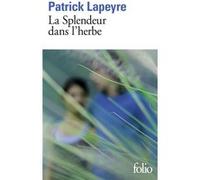 La Splendeur dans l'herbe Patrick Lapeyre (Auteur)