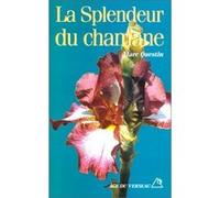 La splendeur du chamane Marc-Louis Questin (Auteur), Tchalaï Unger (Préface)