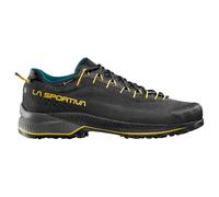 LA SPORTIVA LaSportiva TX4 Evo GTX Chaussures d'approvisionnement pour homme Carbon/bambou, charbon, 45 EU