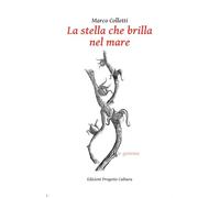 La stella che brilla nel mare