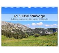 La Suisse sauvage - Sublime nature et paysages préservés (Calendrier mural 2025 DIN A3 horizontal), CALVENDO calendrier mensuel