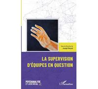 La Supervision D'équipes En Question