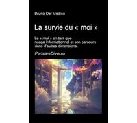 La survie du « moi »: Le « moi » en tant que nuage informationnel et son parcours dans d’autres dimensions. Conscience quantique, conservation de l’expérience et univers multidimensionnels
