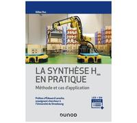 La Synthèse H-Infini En Pratique - Méthode Et Cas D'application