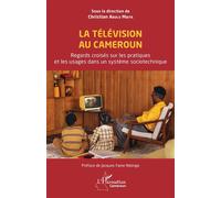 La Télévision au Cameroun Regards croisés sur les pratiques et les usages dans un système sociotechnique - Christian Abolo Mbita - L'harmattan - broché - Essai