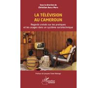 La Télévision au Cameroun: Regards croisés sur les pratiques et les usages dans un système sociotechnique