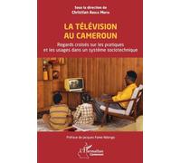 La Télévision Au Cameroun - Regards Croisés Sur Les Pratiques Et Les Usages Dans Un Système Sociotechnique