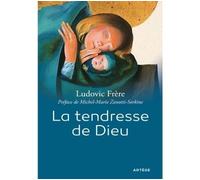 La tendresse de Dieu - Ludovic Frère - Artege - broché - Essai