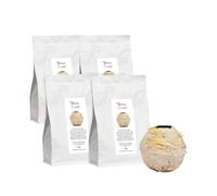 La Terre Crue - pâte naturelle modelable à la main, sans cuisson, durable et idéale pour les loisirs créatifs, bricolage, pack de 4 pièces de 1 kg chacune