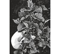 La tête de mort venue de Suède - Daria Schmitt - Dupuis - relié - Bande dessinée