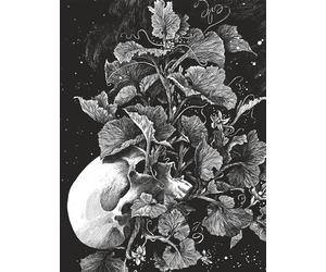 La tête de mort venue de Suède - Daria Schmitt - Dupuis - relié - Bande dessinée