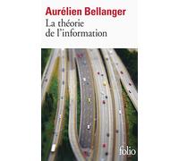Aurélien Bellanger – La théorie de l'information – Roman – Poche