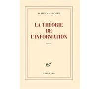 Aurélien Bellanger – La théorie de l'information – Gallimard