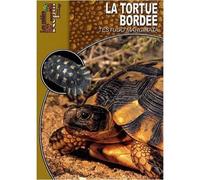 La tortue bordée - Testudo marginata - Collectif - Animalia - broché - Guide