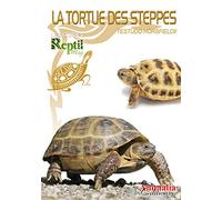 La tortue des steppes