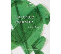 LA TORTUE EQUESTRE