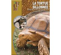 La Tortue Sillonnee