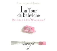 La Tour de Babylone : Que reste-t-il de la Mésopotamie ?