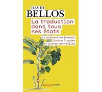 David Bellos – La traduction dans tous ses états – Poche – Flammarion