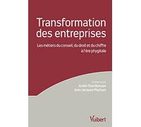 La transformation des entreprises: Les métiers du chiffre, du droit et du conseil à l'ère phygitale