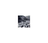 Robert Doisneau, Peter Hamilton – La Transhumance – Actes Sud