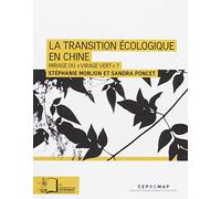 La Transition écologique en Chine: Mirage ou "virage vert" ?