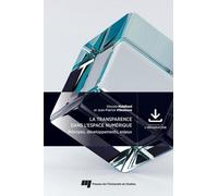 La Transparence Dans L'espace Numérique - Principes, Développements, Enjeux