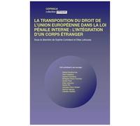 La Transposition Du Droit De L'union Européenne Dans La Loi Pénale Interne : L'intégration D'un Corps Étranger