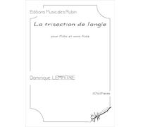 La trisection de l’angle: pour flûte et sons fixés