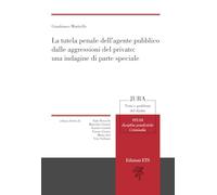 La tutela penale dell'agente pubblico dalle aggressioni del privato: una indagine di parte speciale