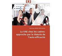 La Vae Chez Les Cadres: Approche Par La Théorie De L'auto-Efficacité