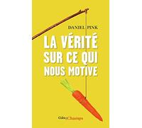Daniel H. Pink – La vérité sur ce qui nous motive – Poche