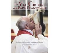 La via crucis con papa Francesco. Meditazioni delle stazioni tratte dai suoi discorsi